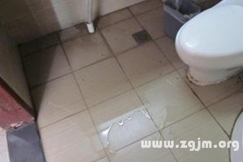 Dream of the toilet is leaking