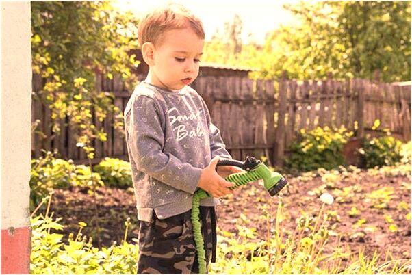 夢到一株辣椒代表什麼_周公解夢官網