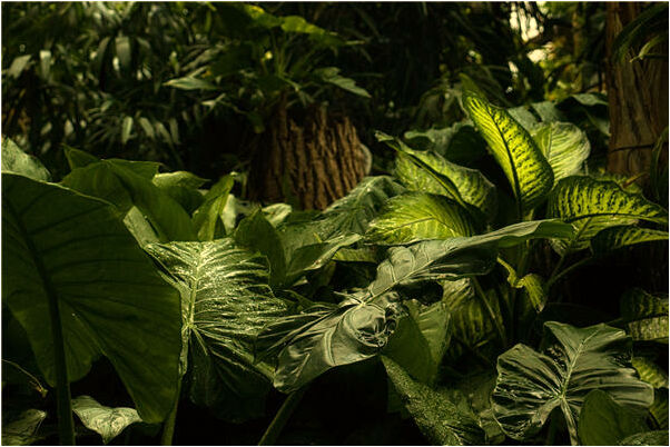 夢到了國中同學不願搭理我預示什麼_周公解夢官網