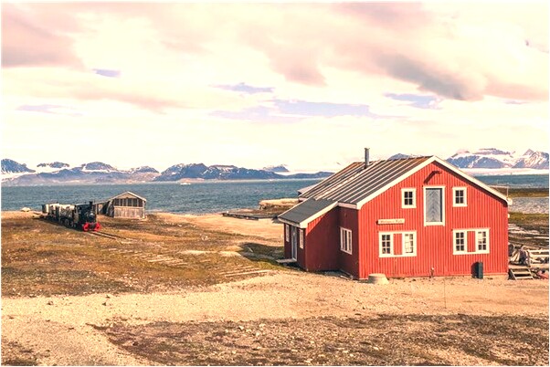 夢到魚長的像蛇有什麼寓意嗎_周公解夢官網