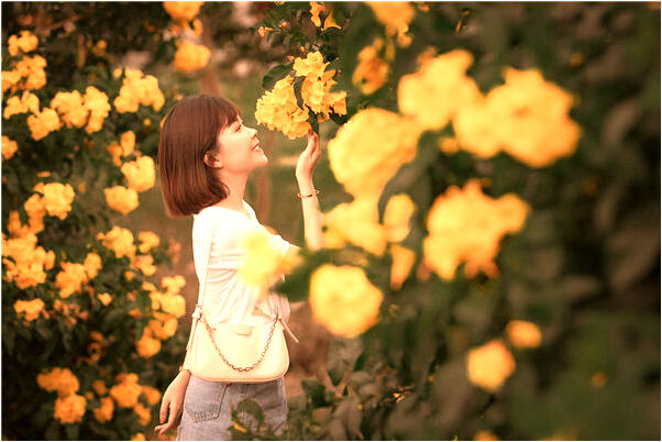 夢到千金歸來多少集有什麼寓意嗎_周公解夢官網