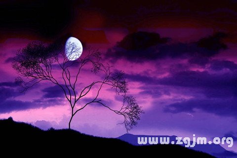 夢見月亮掛在樹梢