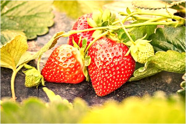 夢到和神仙聊天會怎么樣_周公解夢官網