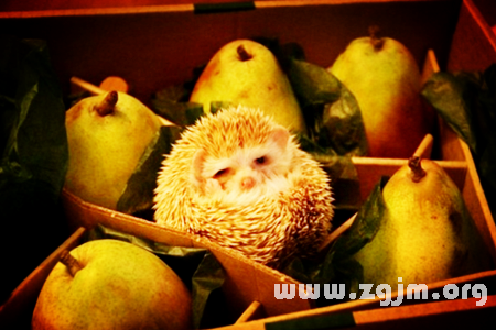 五大夢境預示夫妻矛盾在激化_周公解夢