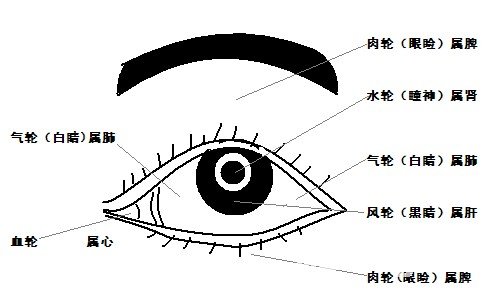 五輪學說圖