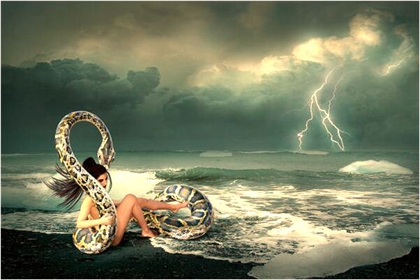 夢到了冬瓜子會是什麼預兆_周公解夢官網