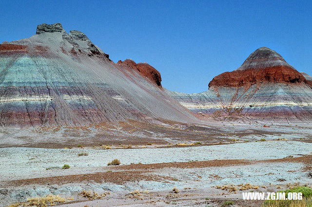 夢見小黃蛇_周公解夢夢到小黃蛇是什麼意思_做夢夢見小黃蛇好不好_周公解夢官網
