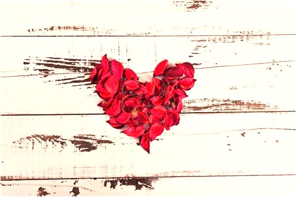 夢到一條黑色的神蛇預示什麼_周公解夢官網