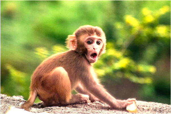 夢到了有人給紙錢會怎么樣_周公解夢官網