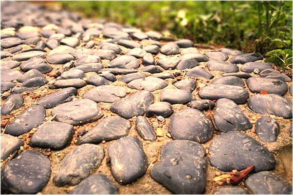 夢見在水上騎車代表著什麼_周公解夢官網