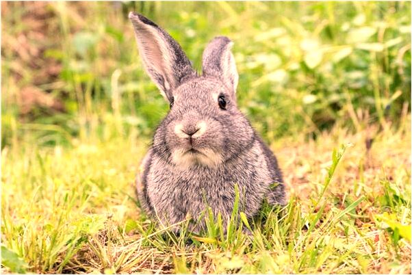 夢到了襪子破洞了有什麼預示嗎_周公解夢官網