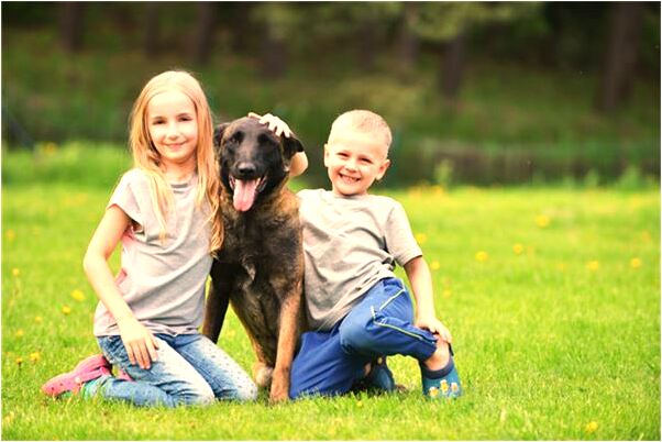 夢到了貓跟狗淹死有什麼意思_周公解夢官網