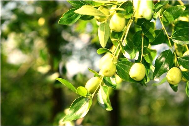 夢見與前度擁抱後哭了是什麼徵兆_周公解夢官網