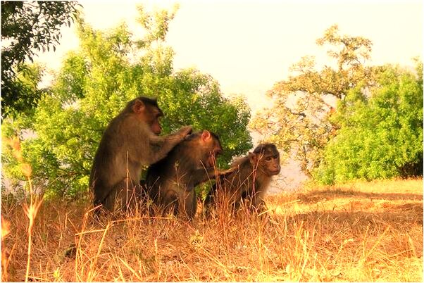 夢見找飲品代表著什麼？_周公解夢官網
