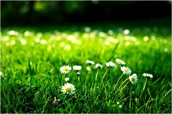 夢到和別人睡一張床預示了什麼_周公解夢官網