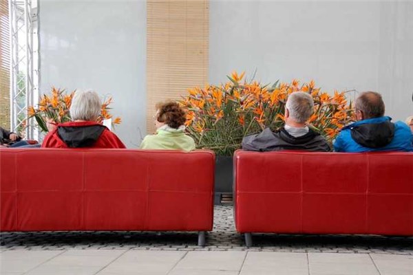 夢見接客是好是壞_周公解夢