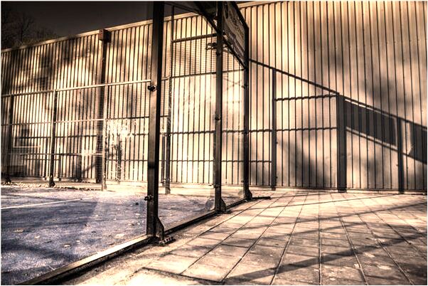 夢見衛生紙上有血預示什麼_周公解夢官網