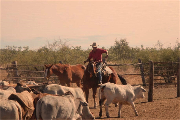 夢到舊女友全裸和我做愛是怎么回事_周公解夢官網