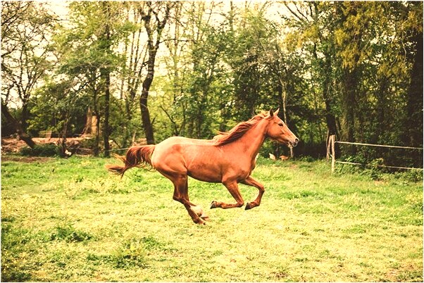 夢見買東西別人找錢找多了啥意思_周公解夢官網