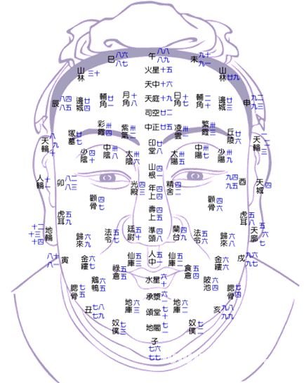 Physiognomy illustration: 01, theory of facial _ to visit fortune-teller accomplishment