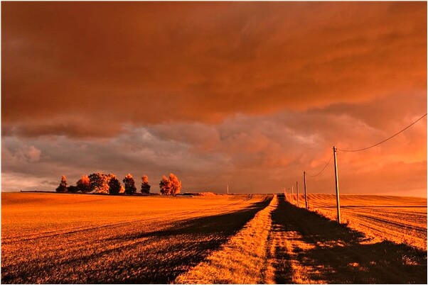 夢見別人手上有很多血跡有什麼徵兆_周公解夢官網