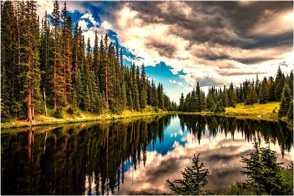 夢到樹上結滿梨會是什麼預兆_周公解夢官網