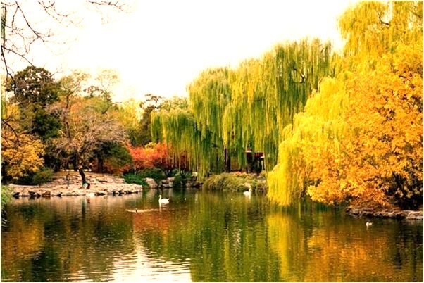 夢見自己坐高鐵是啥預兆_周公解夢官網