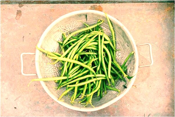 夢到頭髮叫家人剪了意味著什麼_周公解夢官網