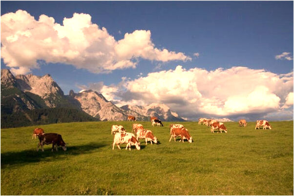 夢見小孩掉河裡被救意味著什麼_周公解夢官網