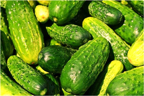 夢到腿疼上醫院意味著什麼_周公解夢官網