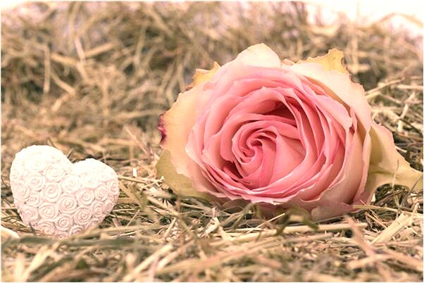 夢到一群房客是好是壞_周公解夢官網