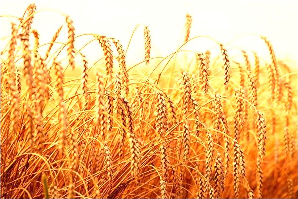 夢到自己睡在水上有什麼寓意嗎_周公解夢官網