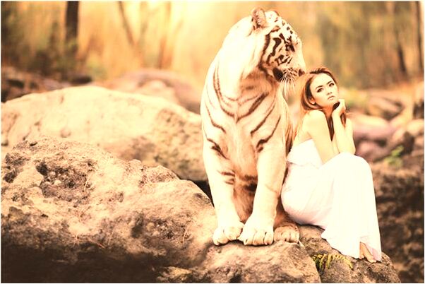 夢到了早產兒頭頂長牙是怎么回事_周公解夢官網