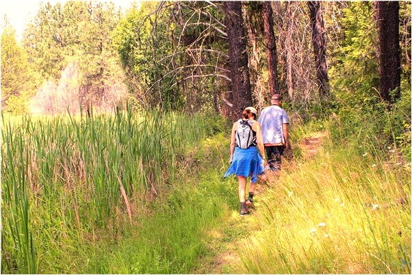 夢到電動車著火啦是吉兆嗎?_周公解夢官網