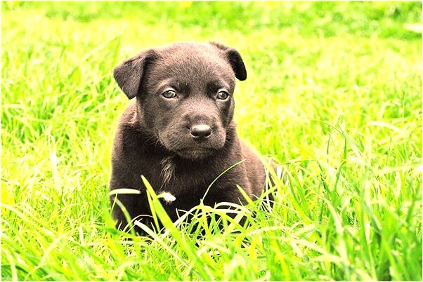 夢見不穿府有何寓意_周公解夢官網