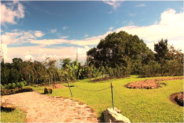 夢到自己戴一隻耳環有什麼說法_周公解夢官網