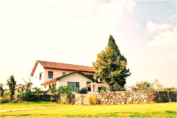 夢到自己在站山頂上預示著什麼_周公解夢官網