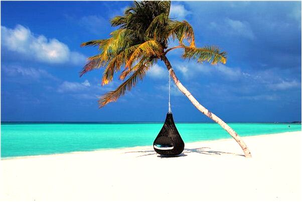 夢到了懷孕了買豇豆和黃瓜是好是壞_周公解夢官網