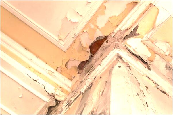 夢到盜屍體預示什麼_周公解夢官網