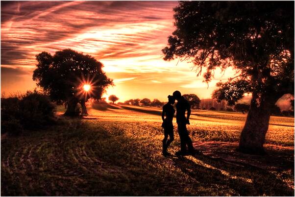 夢見侯廷棟是什麼預兆？_周公解夢官網