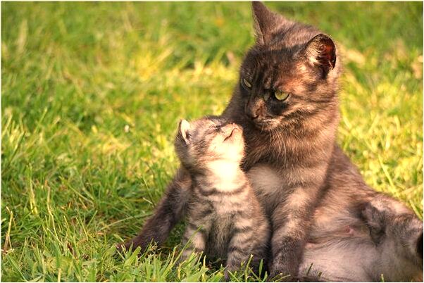 夢到了找雨傘是什麼預兆_周公解夢官網