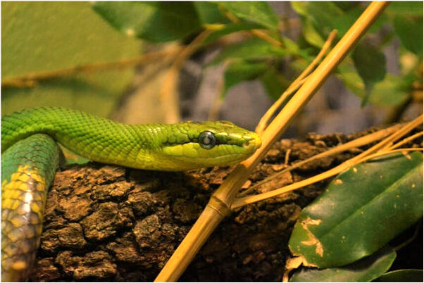 夢見在醫院打掃院子是什麼意思_周公解夢官網