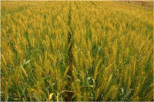 夢到因為別人拿我錢吵架是什麼啟示_周公解夢官網