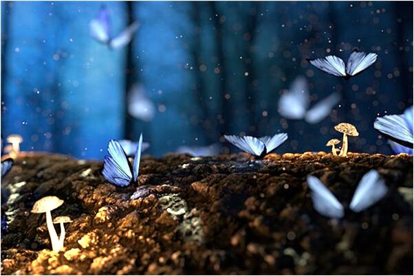 夢見愛人被土埋解救成功是好是壞_周公解夢官網