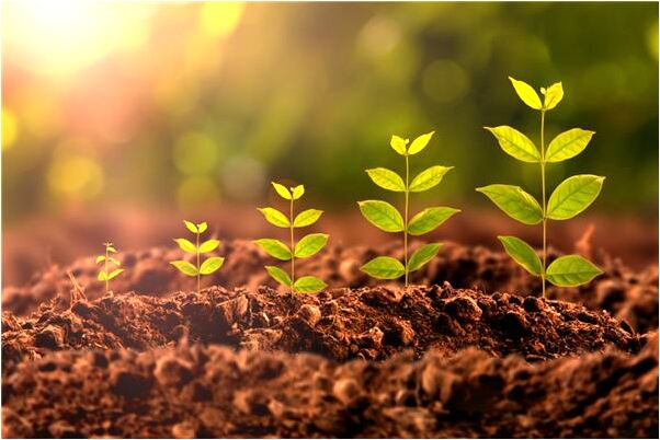 夢到了高官指路啥意思_周公解夢官網