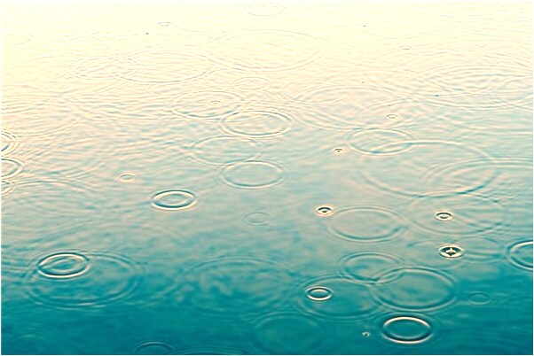 夢見滿山鮮花預示著什麼_周公解夢官網