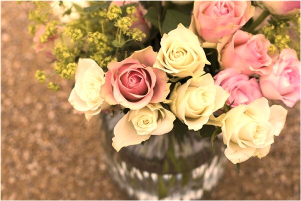 夢到兩條黃蟒蛇有什麼預兆_周公解夢官網