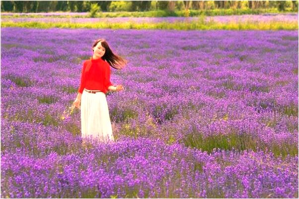 夢到了衣服沾到大便什麼預兆_周公解夢官網