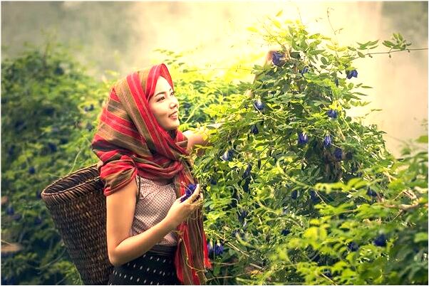 夢到住墳圈撞鬼是什麼徵兆_周公解夢官網