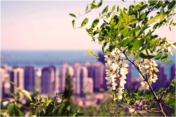 夢見一群黑甲殼蟲從身邊繞過是什麼意思？_周公解夢官網